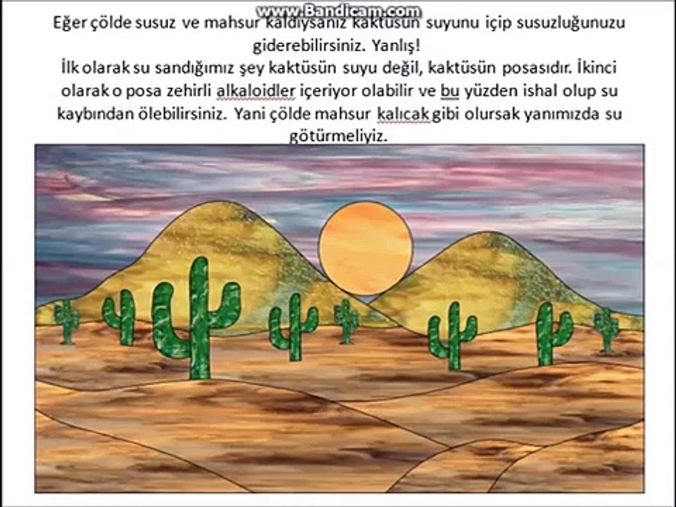 Ölümünüze Sebep Olabilecek Yanlış Bilinen 9 Bilgi