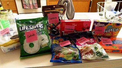 animal cell jello project