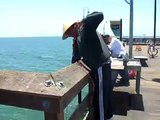 ventura pier fishing - crab fishing for spider crabs