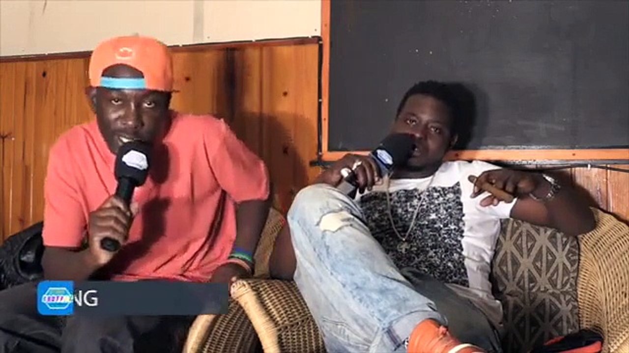 Radio and weasel live in cape town south Africa | The Sting Shuffle