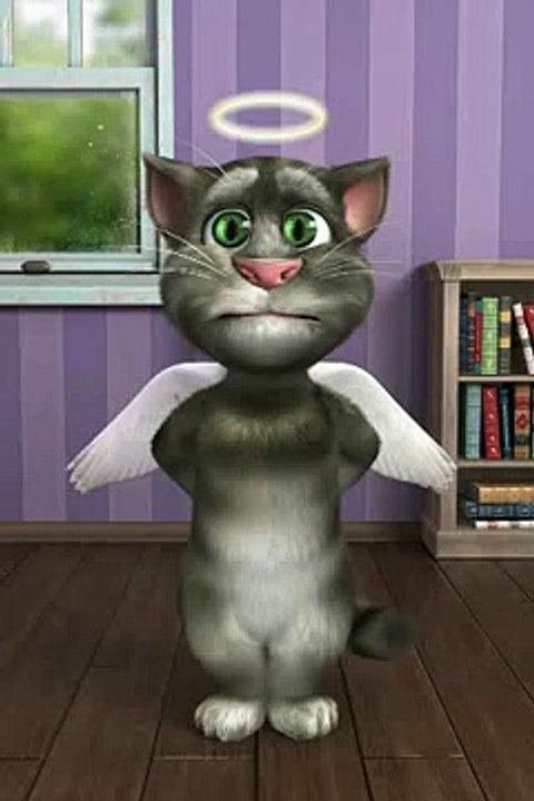 le chat le plus sage au monde