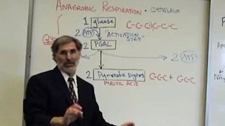 Professor Fink explains CELLULAR RESPIRATION (Part 4); Glycolysis & Fermentation