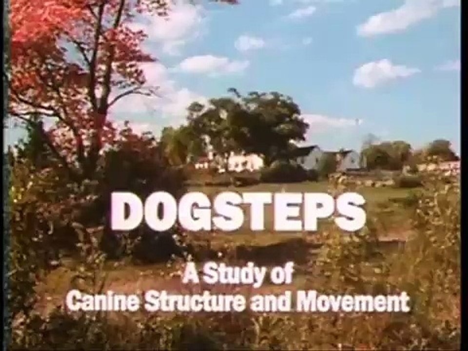 Rachel Page Elliott Dogsteps DVD