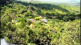 Programa Pantanal WWF Bolivia y Brasil