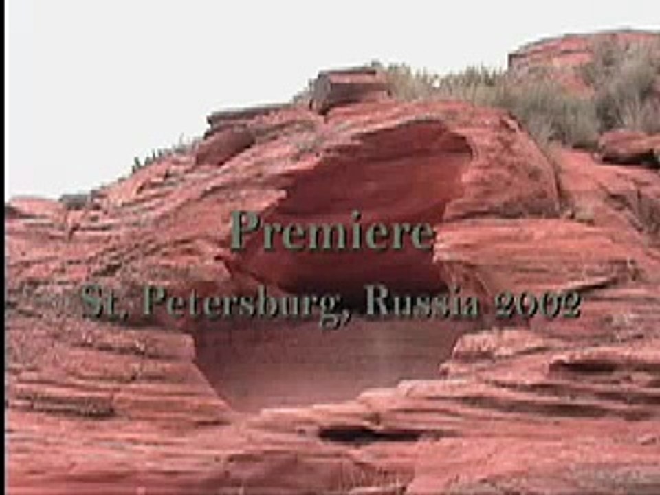 Petrified Heart (excerpt from Surface Tension), 2002