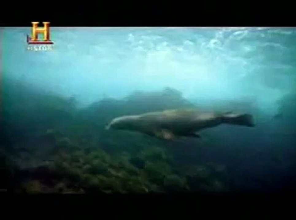 Mundo Jurásico - Megalodon (Tiburón Monstruo Gigante) - Parte 4 de 7