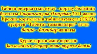 обалденная охота в Актюбинской области