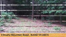 Home-For-Sale:-0-Brushy-Mountain-Road--BLAND,