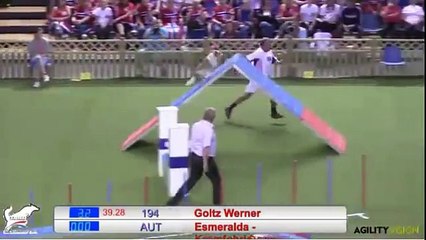FCI Agility World Championship 2014 - Final Medium