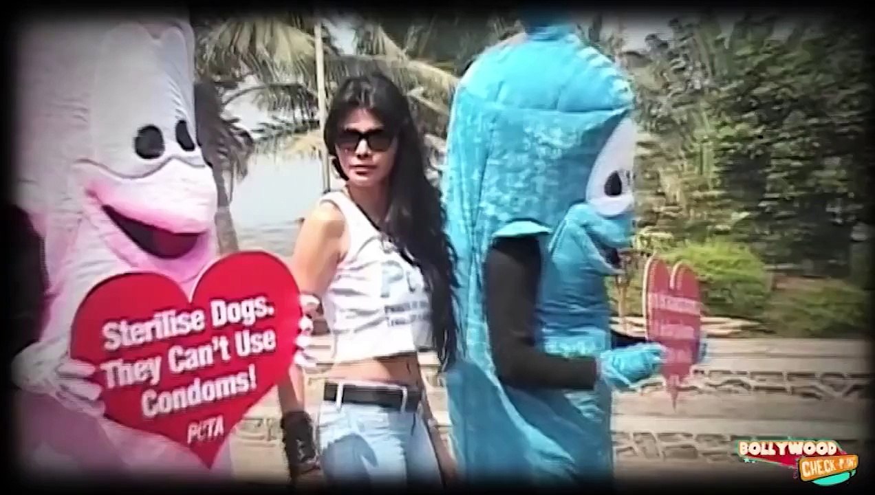 Bollywood Actress Sherlyn Chopra Goes Nude For 22 HOURS for a latest hindi film