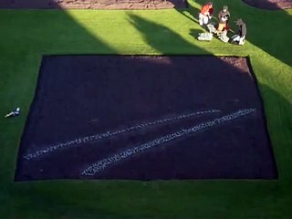 City of Red Deer - Amazing time lapse footage of the planting of City Hall Park Day 1