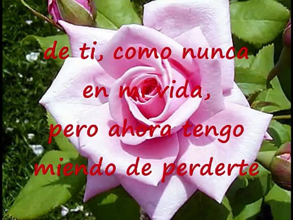 Grupo Romance - Y Me Enamore