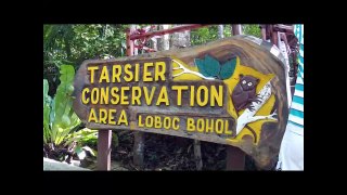 Travel and tours | Videos tour guide | philippines Food