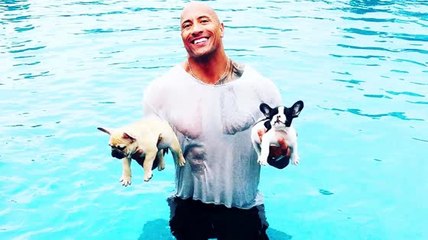Dwayne 'The Rock' Johnson salva la vida de sus cachorros de una piscina