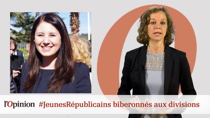 #tweetclash : #JeunesRépublicains biberonnés aux divisions