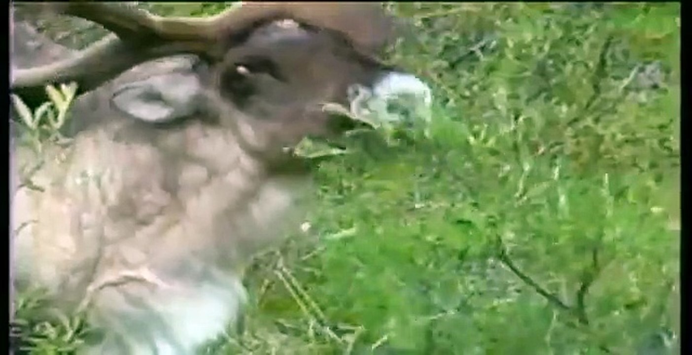 Secretary of the Interior Dirk Kempthorne on Dialogue