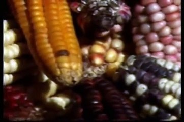 Documental corto - Imperio Inca (Orígenes, sociedad y cultura)