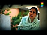 Zindagi Gulzar Hai OST HUM TV Drama