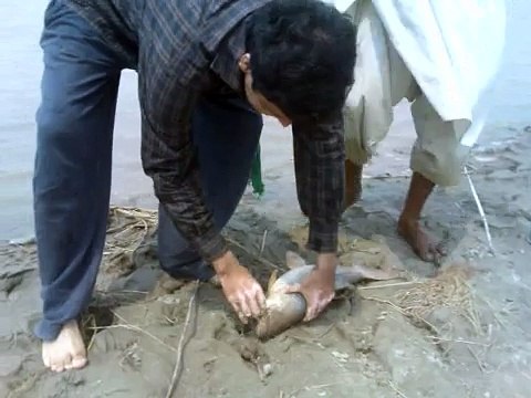 fishing in pakistan by shaheen anglers