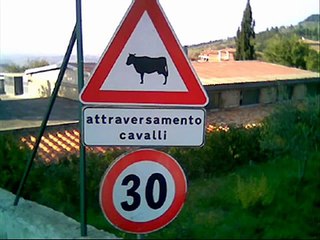Segnali e cartelli stradali divertenti (parte 1)