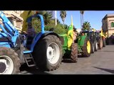 Un corteo di trattori da Nardò a Lecce per la crisi delle angurie