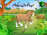 Animals Names in Urdu with their Sounds - جانوروں کے نام ان کی آوازوں کے ساتھ