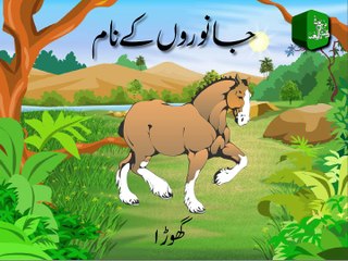 Animals Names in Urdu with their Sounds - جانوروں کے نام ان کی آوازوں کے ساتھ