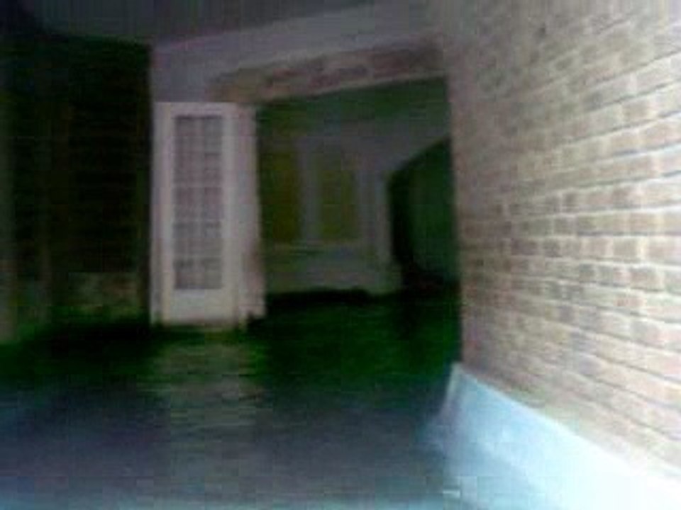 MONSTER PLANTATION, SFOG