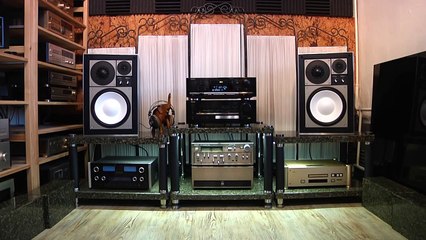 Panasonic RS-DC10 (DCC deck) Technics  SU-V100D Oldplayer collection