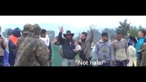 Muslim migrants in Macedonia refuse Red Cross parcels because of... the red cross