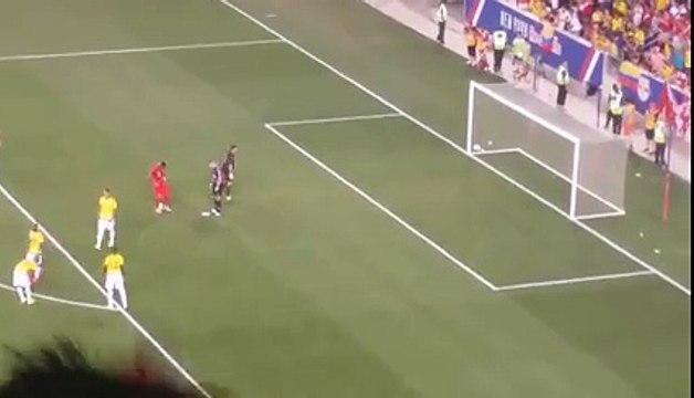 Selección Peruana: así celebraron los hinchas el gol de Jefferson Farfán