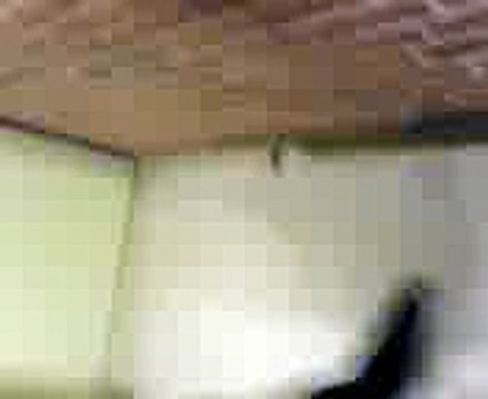 Dieses Jahr keine Ernte. Teil 5