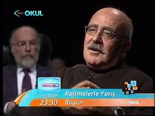 Ne Diyoruz Ne Anlıyoruz - Toplumsal Cinsiyet