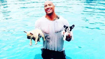 The Rock Saves His Puppies From a Pool