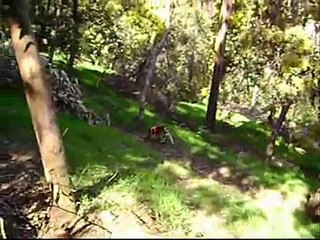 Feliz cumpleaños Florencia!