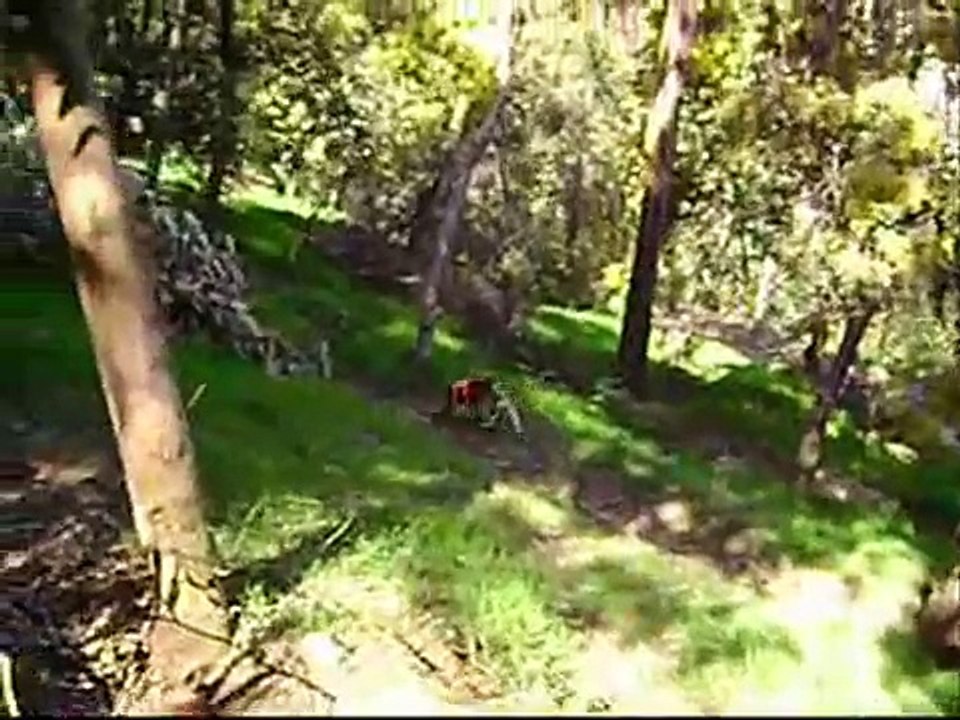 Feliz cumpleaños Florencia!