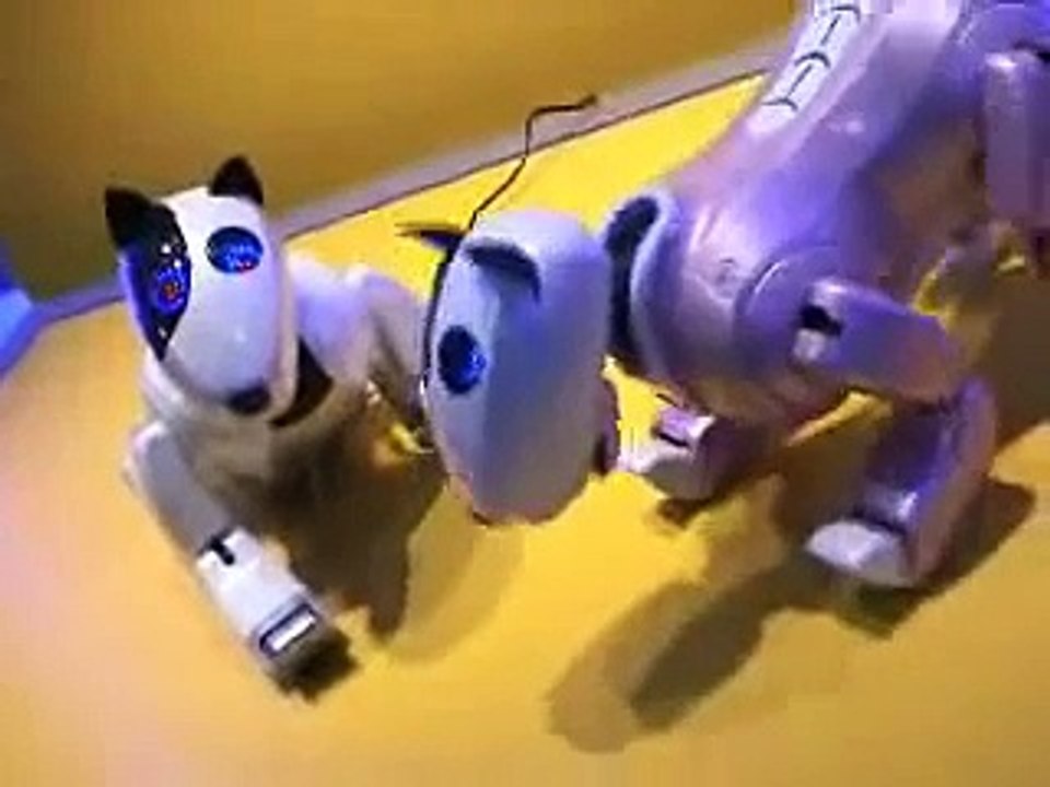 Genibo Tricks