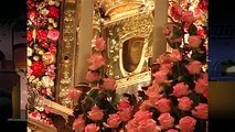 Madonna di San Luca: alcune curiosità