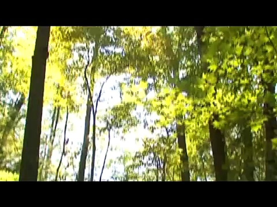 CarePartners Health Services