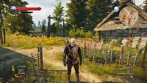 The Witcher 3 Wild Hunt Witcher contract Jenny o' the Woods