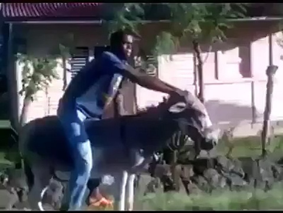local bike