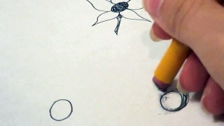 How to Draw a Five Petal Flower