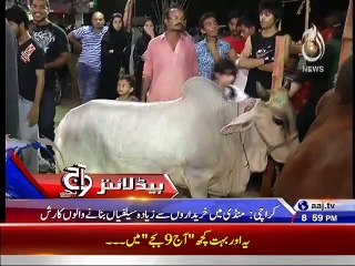 Cow Mandi 2015 - Selfiyan Banany Waly