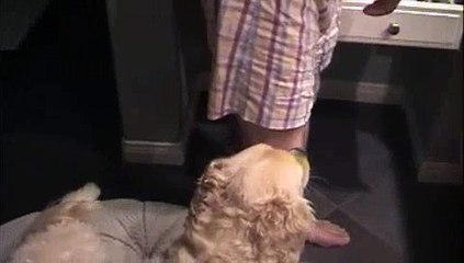 Brushing my Dog's Teeth