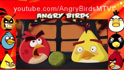Angry Bird All Series eps 46