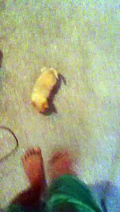 my dog trying do hump my foot