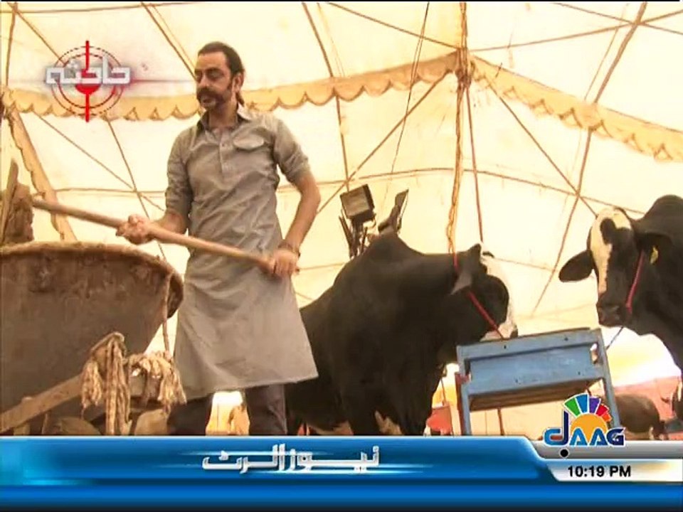 Work In Cow Mandi 2015
