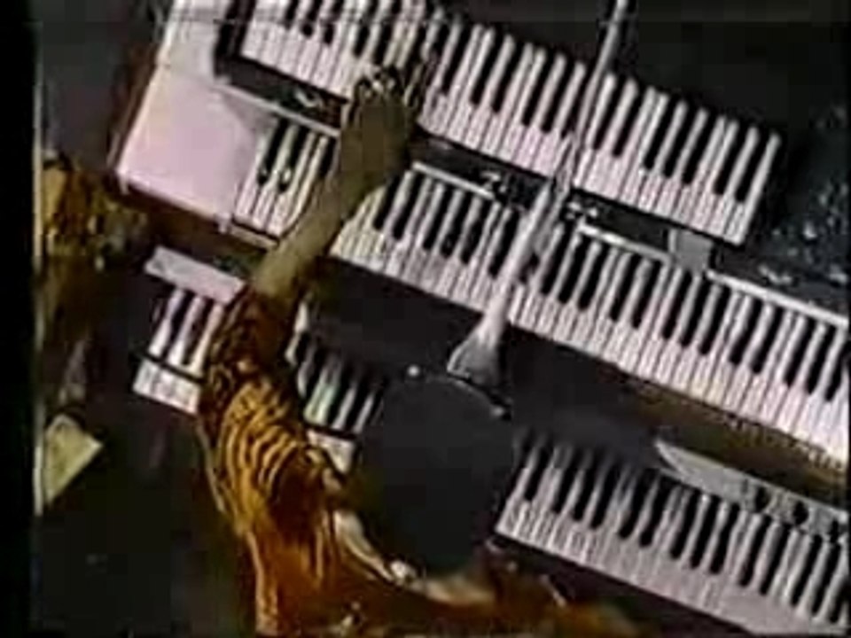 Stevie Wonder playing the talk box