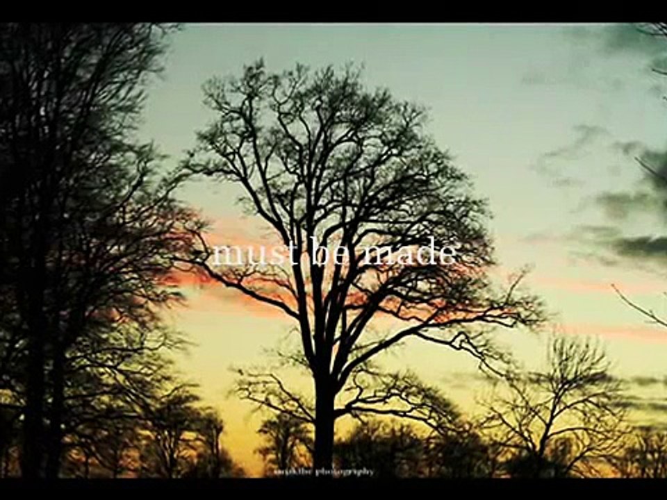 Eclipse Book Trailer