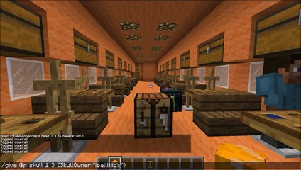 Minecraft- My Stampy Cat Airplane (Timelapse and Tour)